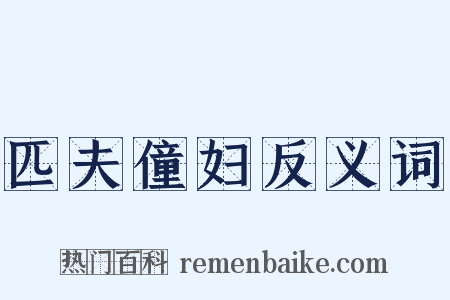 匹夫僮妇反义词是什么意思的图片